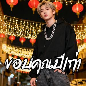 ขอบคุณปีเก่า