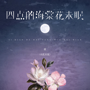 四点的海棠花未眠 (DJ沈乐版)