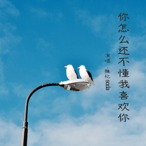 你怎么还不懂我喜欢你