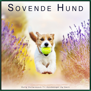 Sovende Hund