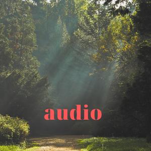Audio