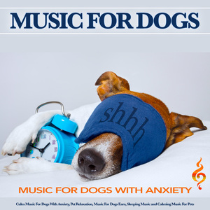 Sleeping Music For Dogs