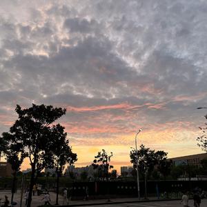 不总回忆起MG