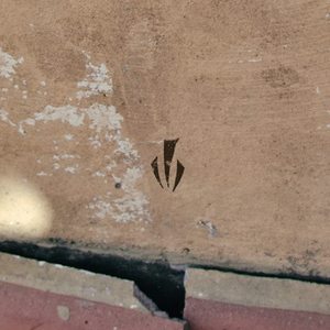 El Oscurecimiento de la Luz (I)