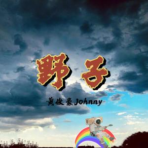 野子（原唱 苏运莹）