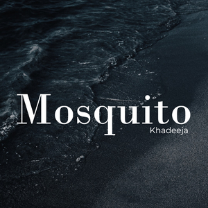 Mosquito