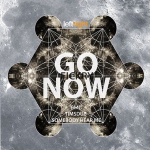 Go Now (Timsdub Acid Rework)