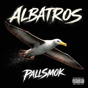 Albatros
