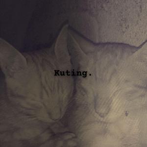 Kuting