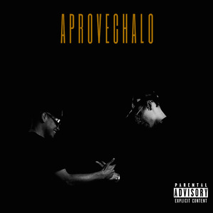 Aprovechalo