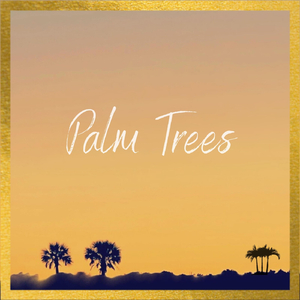 Palm Trees