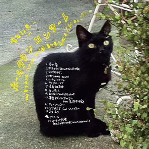 テレフォン・ラブ (ホームタウンコンサート Live)