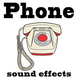 Phone Say's Answer 2 Times