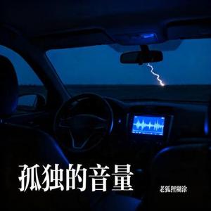 孤独的音量