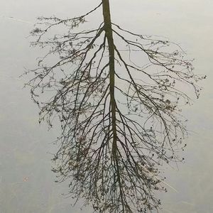 后来