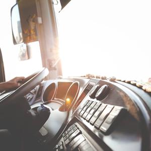 黑鸟你看我怎样绕着你转圈