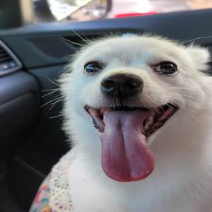 맑은 날 맑은 하늘