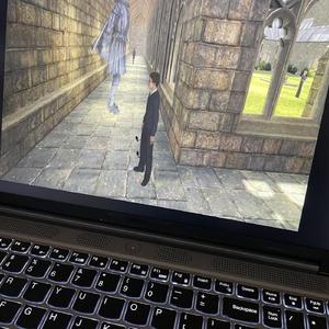 castles (birdbusiness)