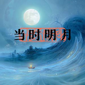 当时明月