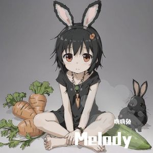 徐且慢 - Melody（嗨嗨兔 remix）