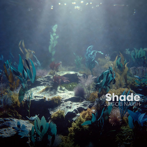 Shade
