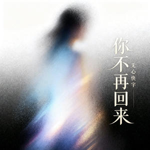 你不再回来
