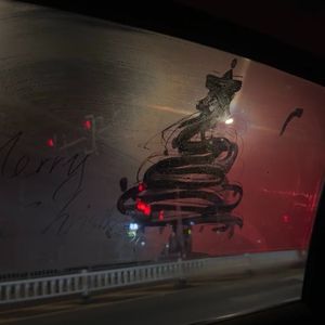 The following day (从今天开始）