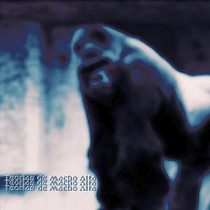 Teorías de Macho Alfa