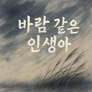 바람같은 인생아