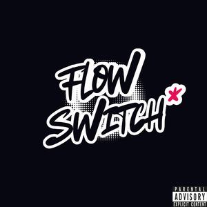 Flow Switch