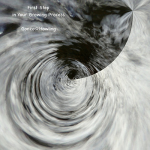 First Step in Your Flight simulation