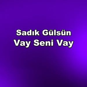 Vay Seni Vay