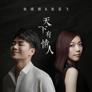 天下有情人 (DJ九零版)