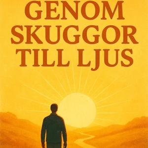 Genom skuggor till ljus