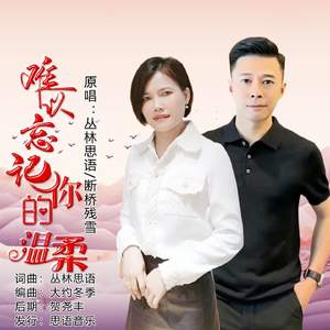 难以忘记你的温柔（对唱）