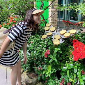 僕の戦争(《进击的巨人 最终季》OP中文版)_螭羽毛