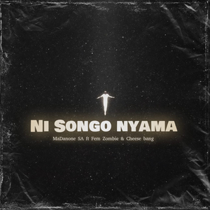 Ni songo nyama