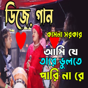 আমি যে তারে ভুলতে পারি না রে