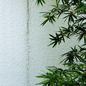 莫斯科郊外的夜晚 (五音养生)