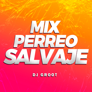 Mix Perreo Salvaje