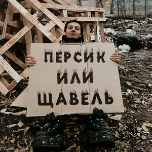 Персик или щавель