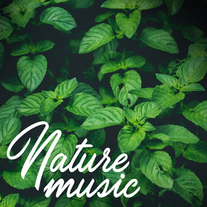 Dream Rain (Original Mix)