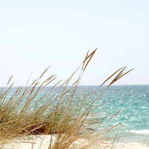 Buồn Nốt Hôm Nay Nhé