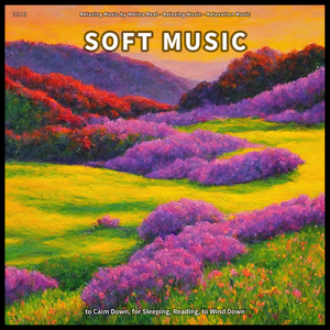 Exceptional Reflections