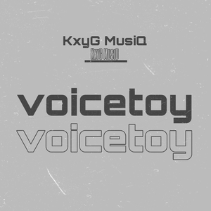 Voicetoy (Bique Mix)