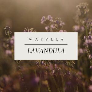 Lavandula