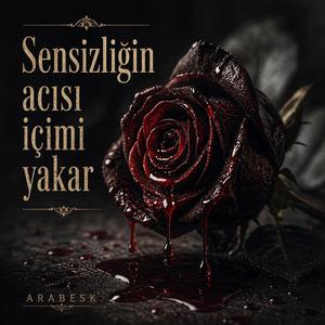 SENSİZLİĞİN ACISI İÇİMİ YAKAR