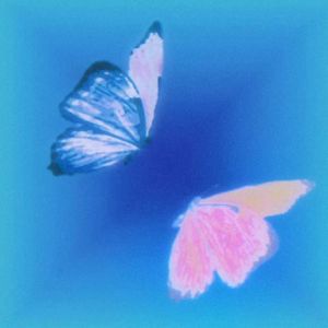 山是湿透的床单也是无用的浪漫