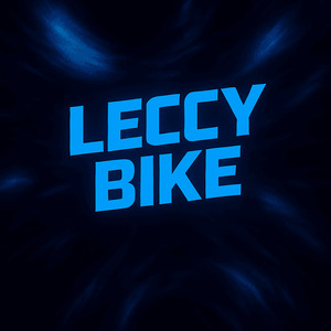 Leccy Bike