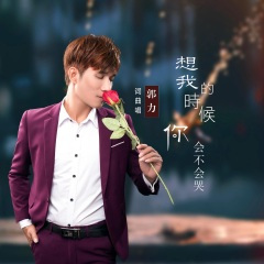 想我的时候你会不会哭 (DJ默涵版)
